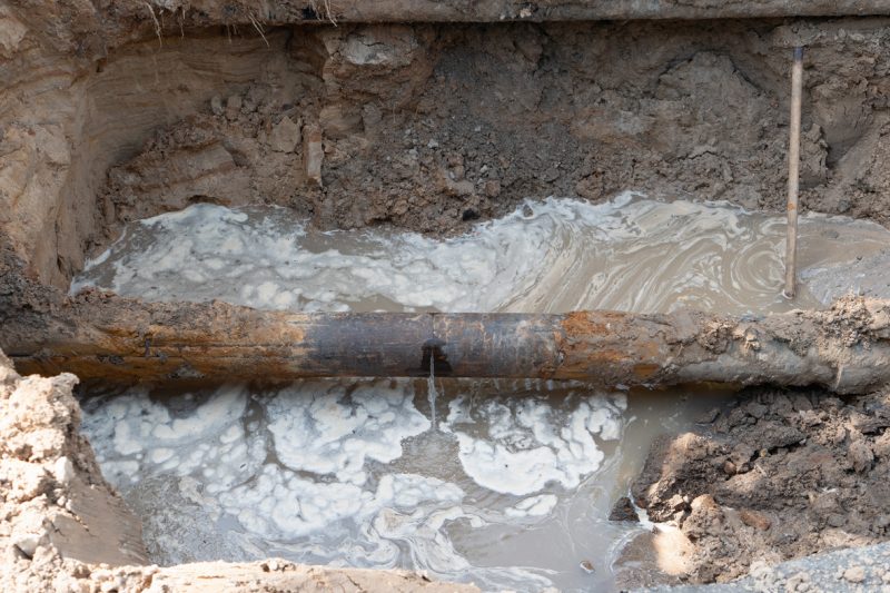 Sewer Line Problems: Signs, Causes, and How to Fix Them