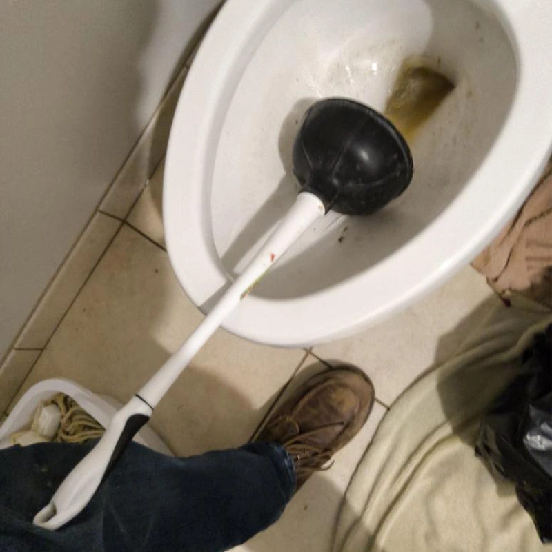 Clogged Toilet
