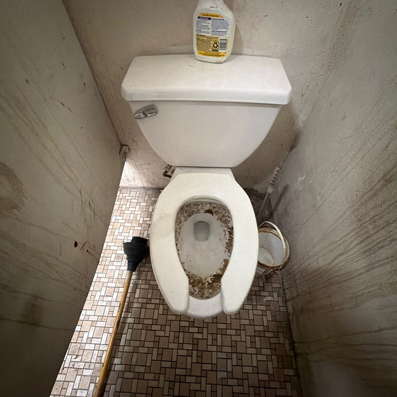 Snake Clogged Toilet